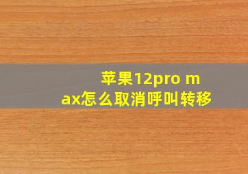 苹果12pro max怎么取消呼叫转移